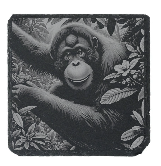 Orangutan Monkey Engraved Slate / Bamboo Coaster - Gift for Animal Lover